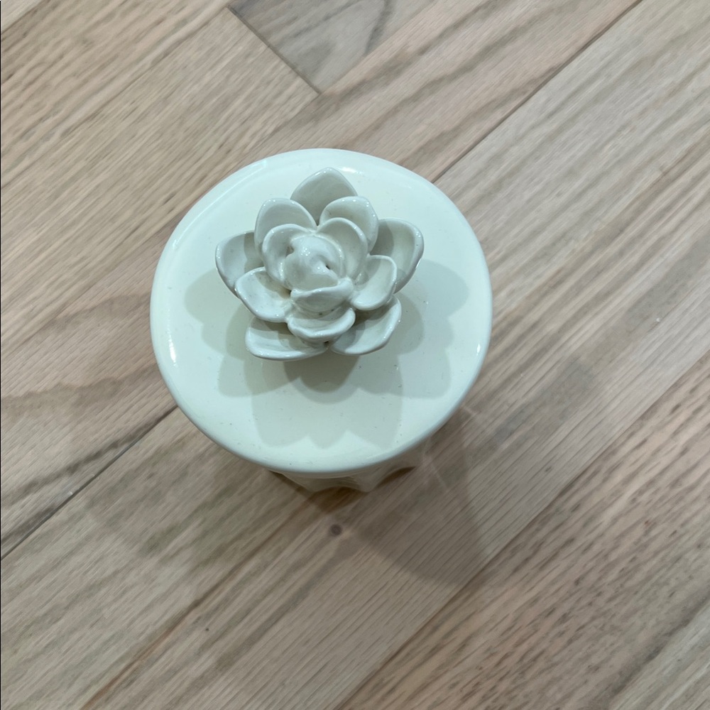 Anthropologie White Ceramic Succulent Decor
Butter holder
